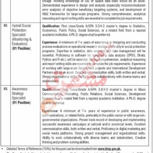 Hybrid Social Protection Specialist (Monitoring & Evaluation) Job Advertisement