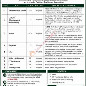 Lecturer (Chemistry and Mathematics) Job Advertisement