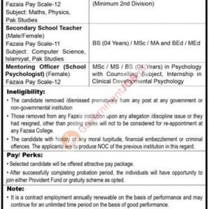 Lecturer Job Advertisement
