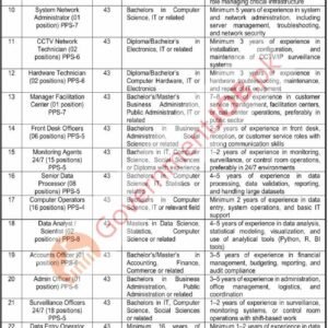 CCTV Network Technician Job Advertisement