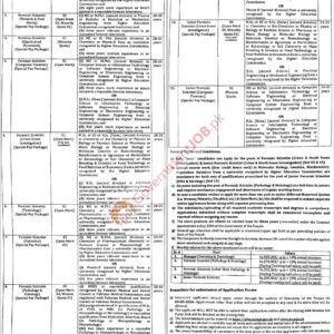 Forensic Scientist (Computer Forensic) Job Advertisement