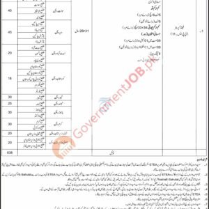 Field Operator (BPS-11) Job Advertisement