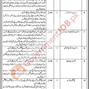 Assistant Director Conference Job Advertisement