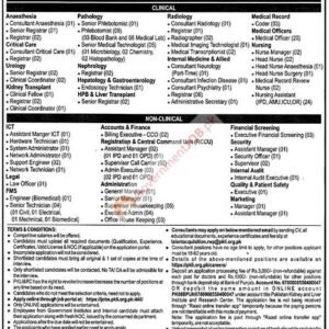 Assistant Manager (Security) Job Advertisement