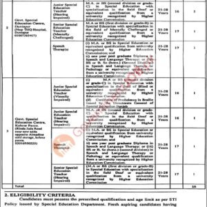 Speech Therapist Job Advertisement