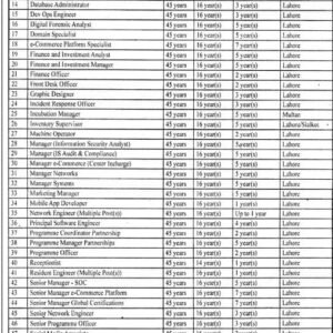 Network Engineer (Multiple Posts) Job Advertisement