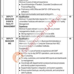 Deputy Manager MIS Job Advertisement