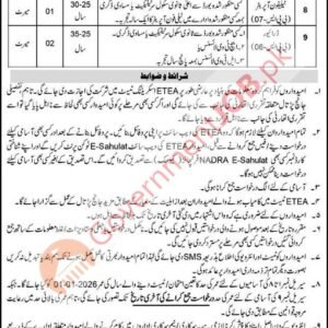 Assistant Job Advertisement