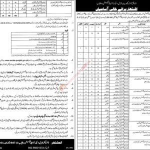 Excise and taxation constable (BPS-05) Job Advertisement