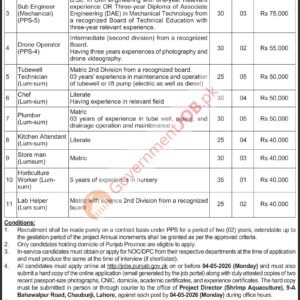 Store Man (Lump-sum) Job Advertisement