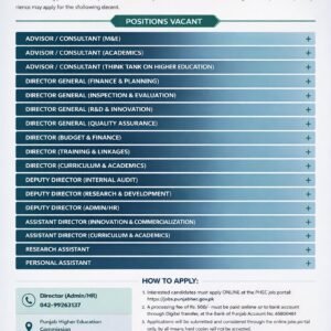 Advisor / Consultant Job Advertisement