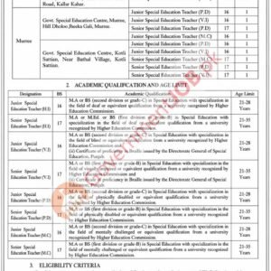 Junior Special Education Teacher (P.D) Job Advertisement