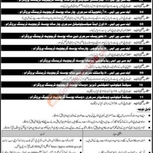 Second Fellowship Vascular Surgery Job Advertisement