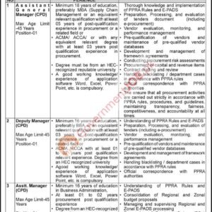Assistant General Manager (CPD) Job Advertisement
