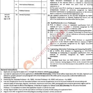 Assistant Professor (Computer Engineering) Job Advertisement