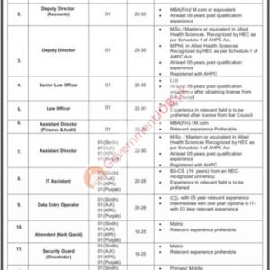 IT Assistant Job Advertisement