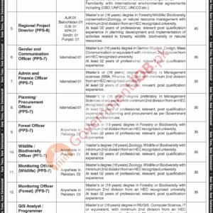 Admin & Finance Assistant Job Advertisement