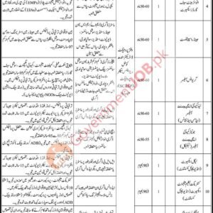 Gender Specialist Job Advertisement