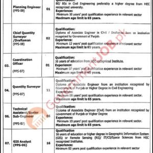 GIS Analyst (PPS-06) Job Advertisement