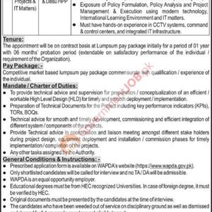 Consultant (Safe City Projects & IT Matters) Job Advertisement