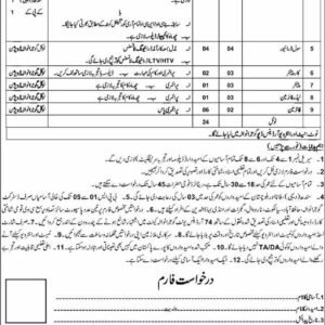 Lower Division Clerk (LDC) Job Advertisement