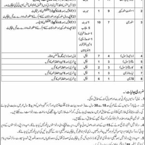 Carpenter (Civil) Job Advertisement