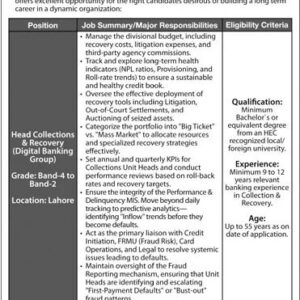 Head Collections & Recovery (Digital Banking Group) Job Advertisement