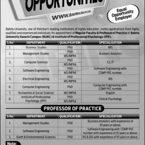 Business Studies Job Advertisement