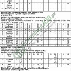 Senior Registrar (Psychiatry) Job Advertisement