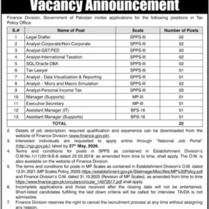 Analyst Corporate/Non-Corporate Job Advertisement