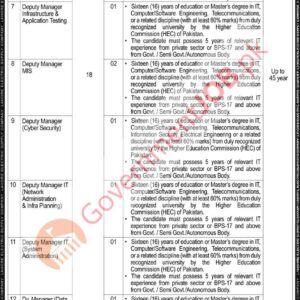 Manager ERP Job Advertisement