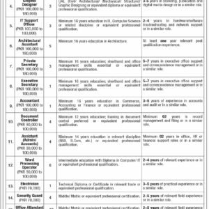 Architectural Assistant Job Advertisement
