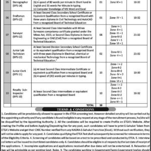 Surveyor Job Advertisement