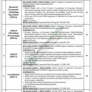 Analyst (Modeling/Forecasting) Job Advertisement