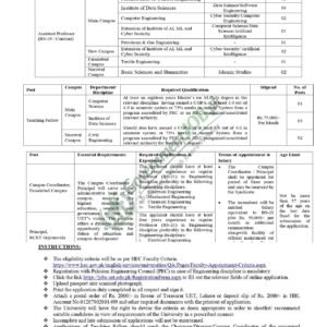 Teaching Fellow Job Advertisement