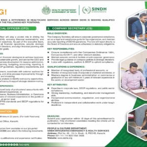 Chief Financial Officer (CFO) Job Advertisement