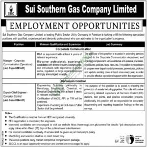 Deputy Chief Engineer - Corrosion Control. Job Advertisement